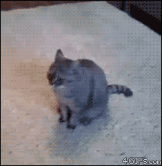 Daily GIFs Mix, part 89