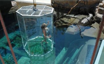 Diving with Crocodiles