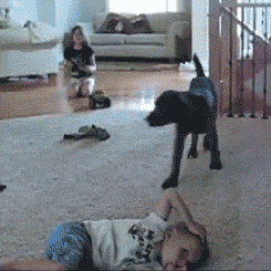 Daily GIFs Mix, part 90