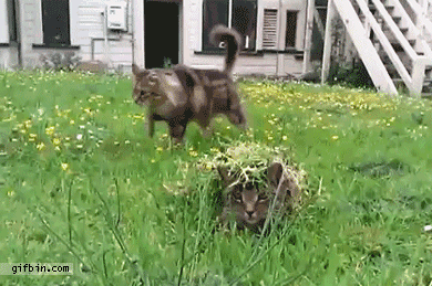 Daily GIFs Mix, part 91