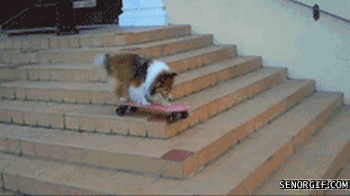 Daily GIFs Mix, part 91
