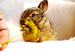 Daily GIFs Mix, part 92
