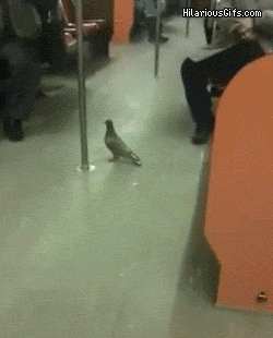 Daily GIFs Mix, part 95