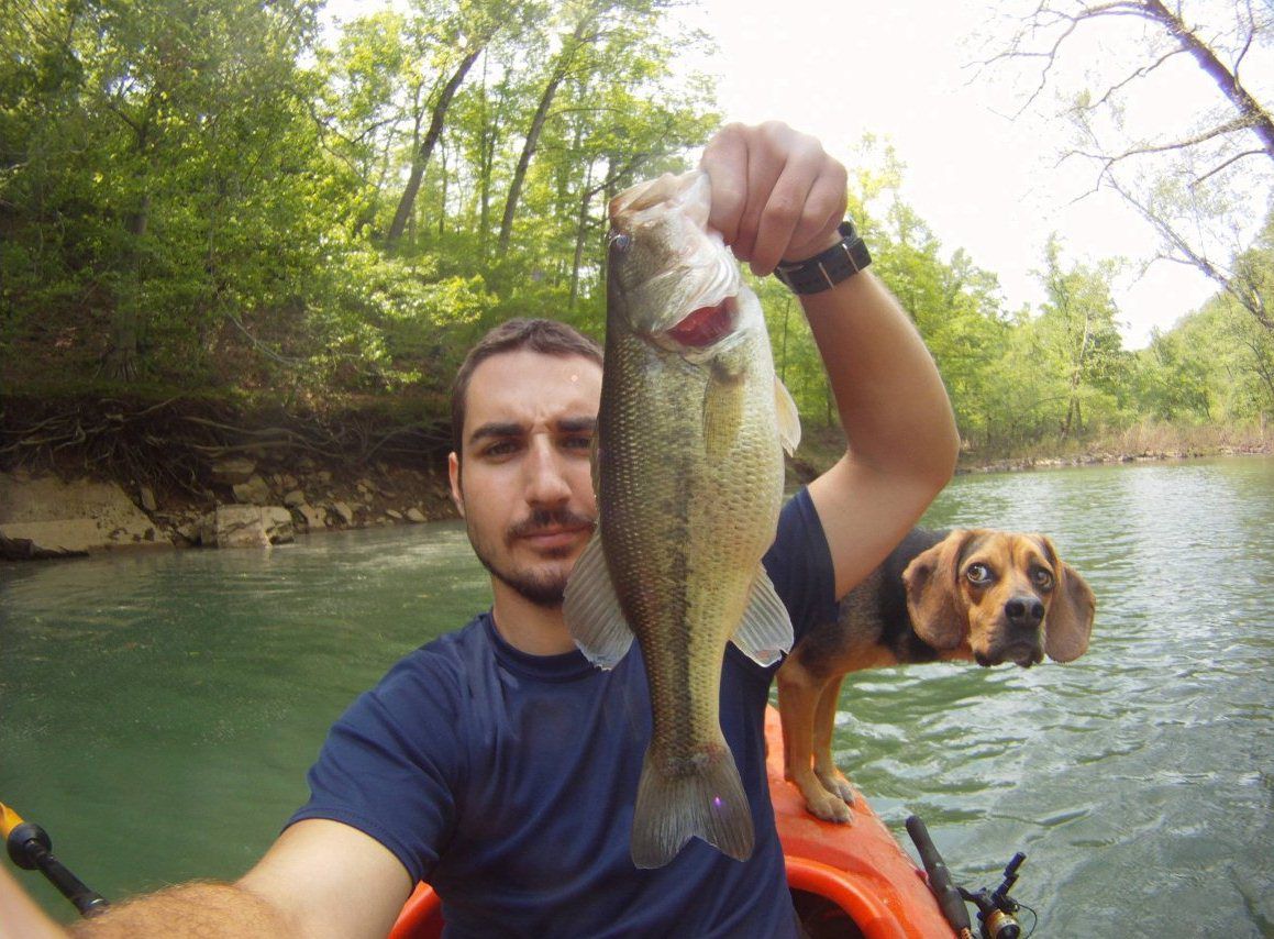 The Ultimate Animal Photobombs Collection 