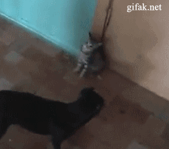 Daily GIFs Mix, part 97