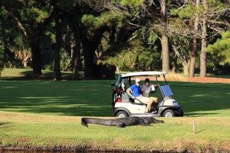 The Most Extreme Golf Field Ever