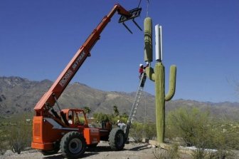 That’s How Cell Phone Towers Are Disguised 