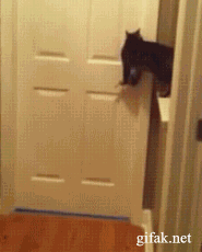 Daily GIFs Mix, part 100