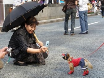 Dogs in Japan Have Awesome Fashion