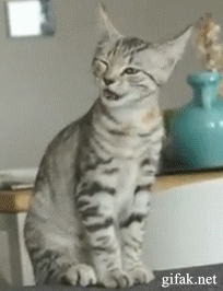 Daily GIFs Mix, part 102