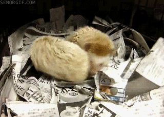 Daily GIFs Mix, part 103