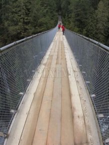 Fascinating Capilano Suspension Bridge 