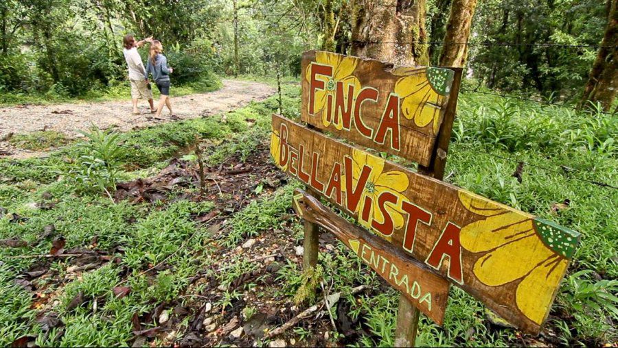 Fantastic Treehouse Village in Costa Rica 