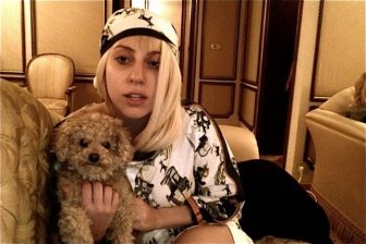 Lady Gaga and Her New Dog Fozzi