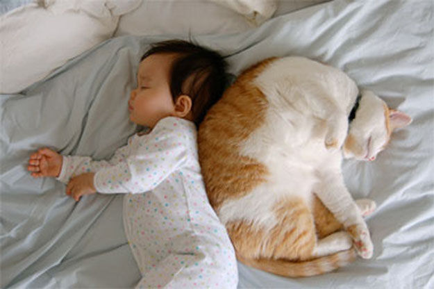 Babies and Cats Being Too Cute 