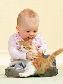 Babies and Cats Being Too Cute 