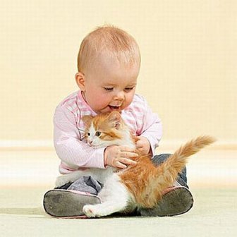 Babies and Cats Being Too Cute 