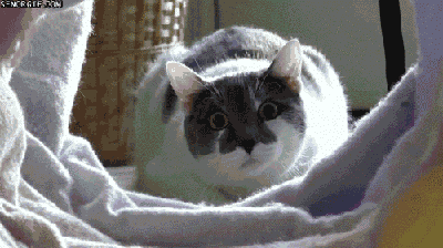 Daily GIFs Mix, part 107
