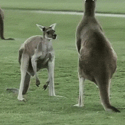 Daily GIFs Mix, part 107