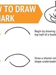 How To Draw a Shark