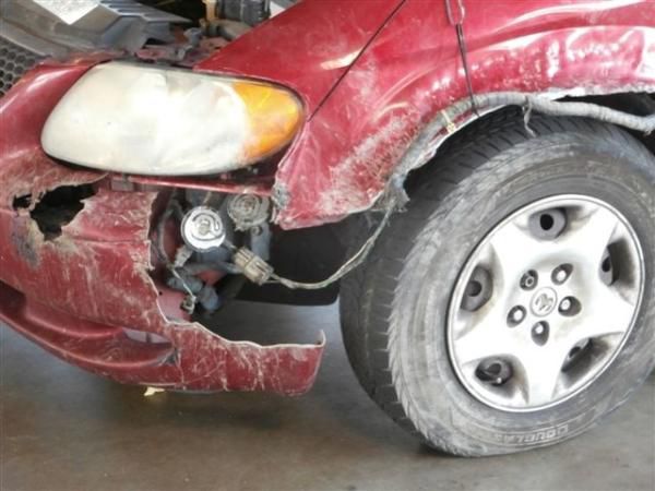 What Enraged Pit Bulls Can Do to a Car 