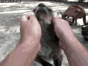 Daily GIFs Mix, part 108