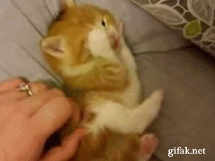 Daily GIFs Mix, part 109
