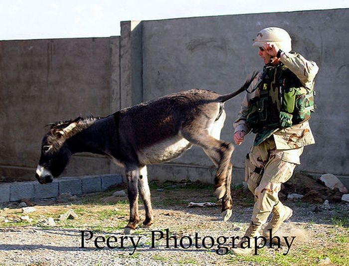 Hilarious Army Photos