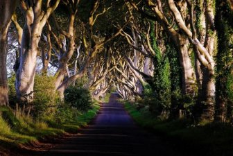 Beautiful Road in Ireland