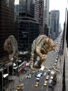 The World Will End With Catzilla Atack 