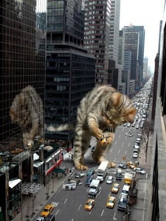 The World Will End With Catzilla Atack 