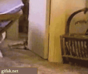 Daily GIFs Mix, part 118