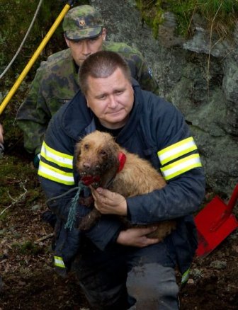 Dogs Rescued After Being Trapped