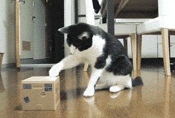 Daily GIFs Mix, part 120