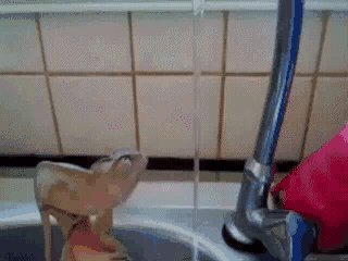 Daily GIFs Mix, part 122