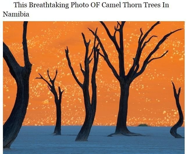 Unbelievable Pictures That Are Actually Real