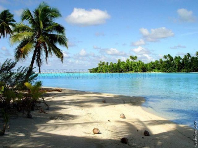 Gorgeous Island Paradise