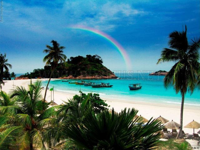 Gorgeous Island Paradise