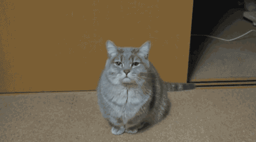Daily GIFs Mix, part 123