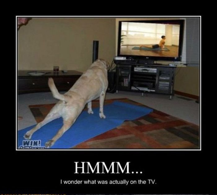 Funny Demotivational Posters, part 117
