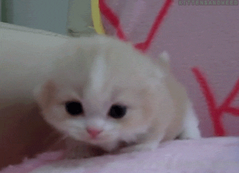 Daily GIFs Mix, part 125