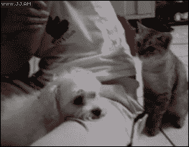 Daily GIFs Mix, part 126