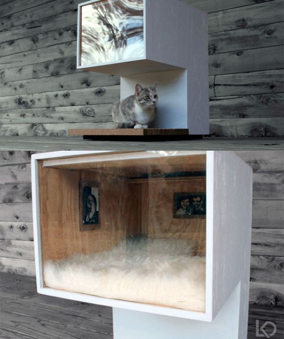 Creative Cat Houses