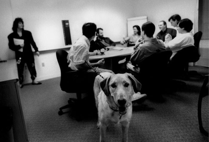 The Early Photos of Apple, Microsoft and Adobe