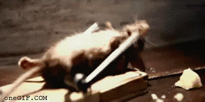 Daily GIFs Mix, part 127