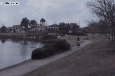 Daily GIFs Mix, part 127