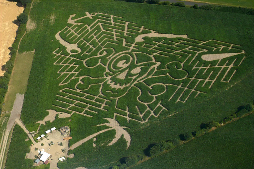 Amazing Corn Crop Maze Art 