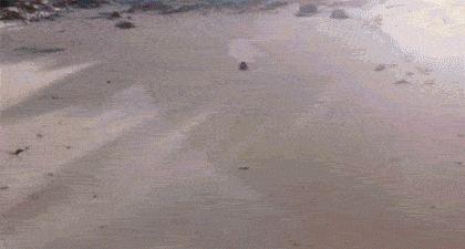 Daily GIFs Mix, part 130