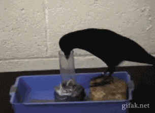 Daily GIFs Mix, part 131