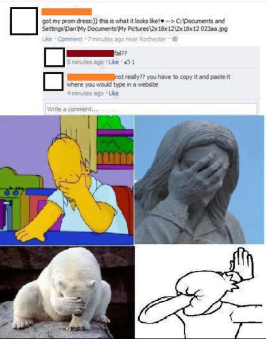 Funny and Stupid Facebook Moments